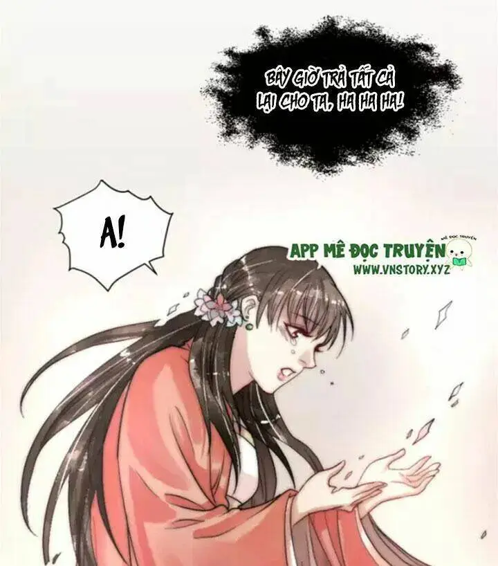 Chapter 13