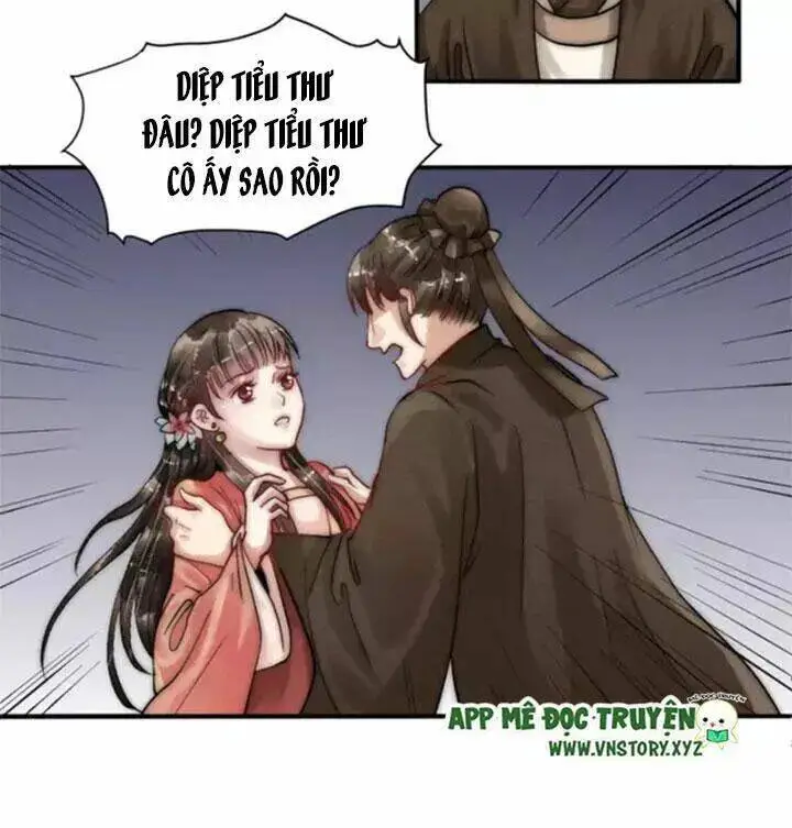 Chapter 12