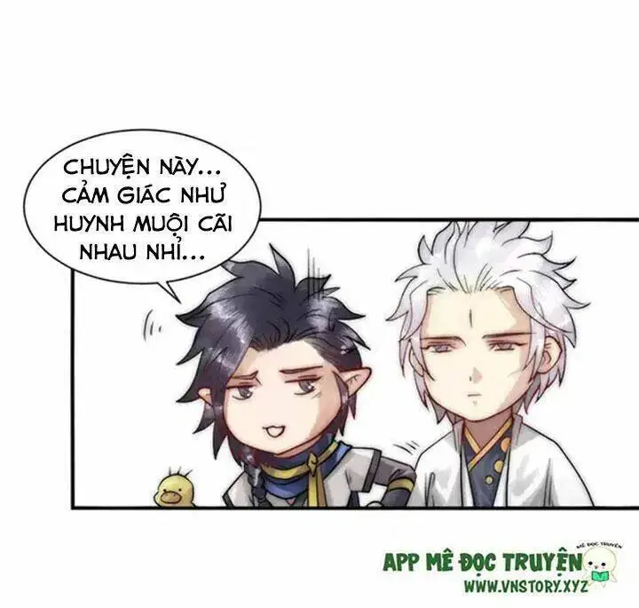 Chapter 12