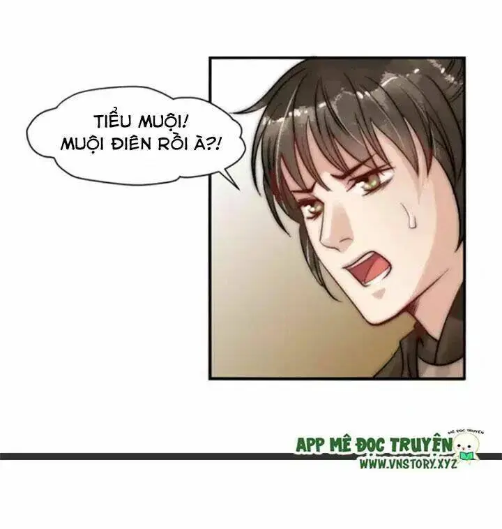 Chapter 12