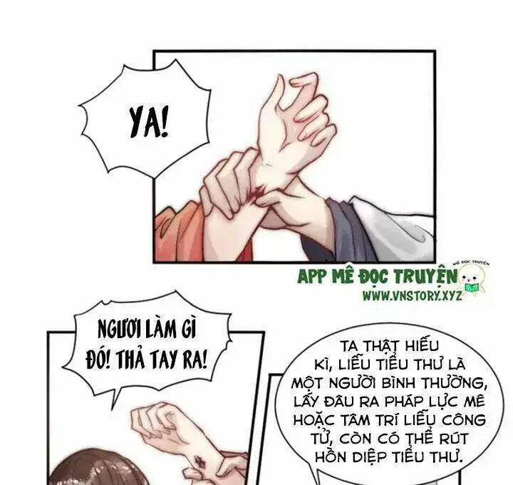 Chapter 12
