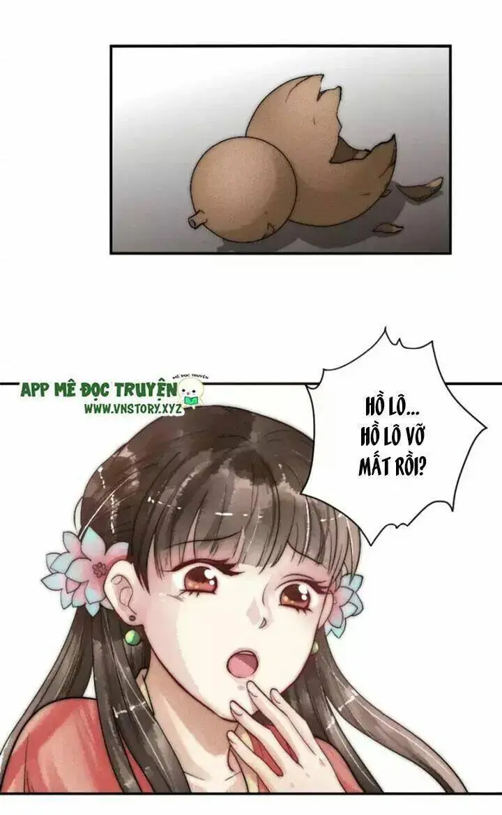 Chapter 12