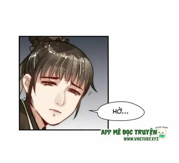 Chapter 12