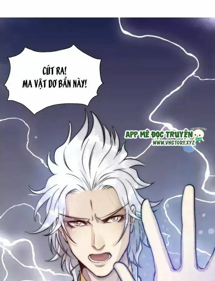 Chapter 11