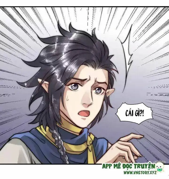Chapter 11