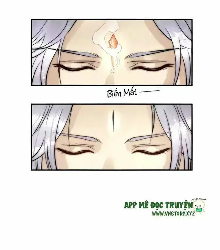 Chapter 11