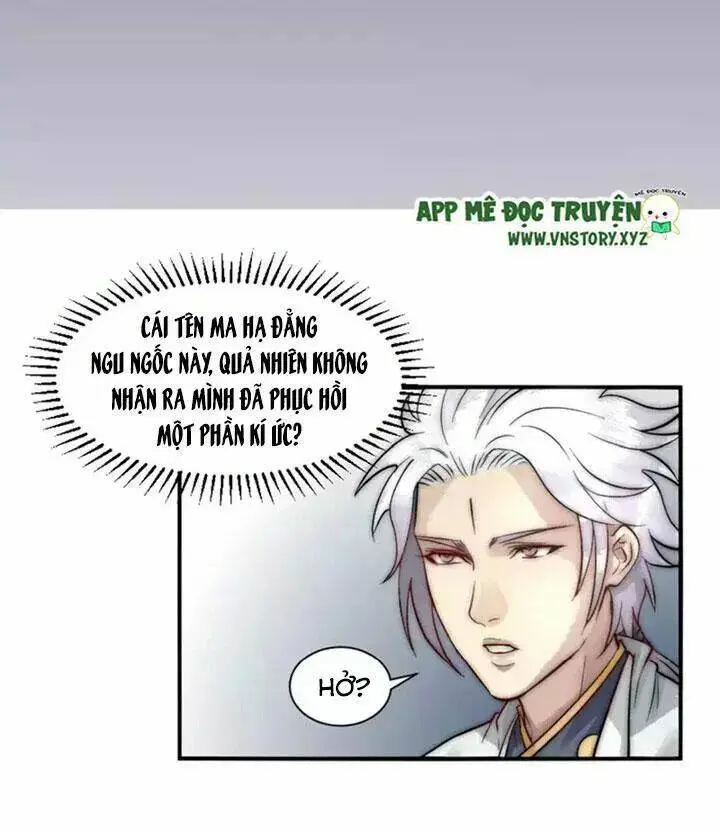 Chapter 11