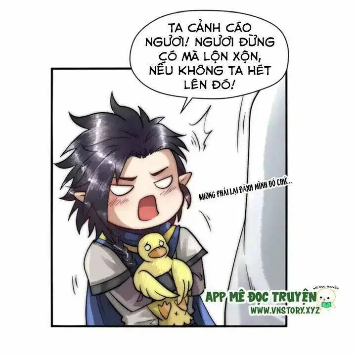 Chapter 11
