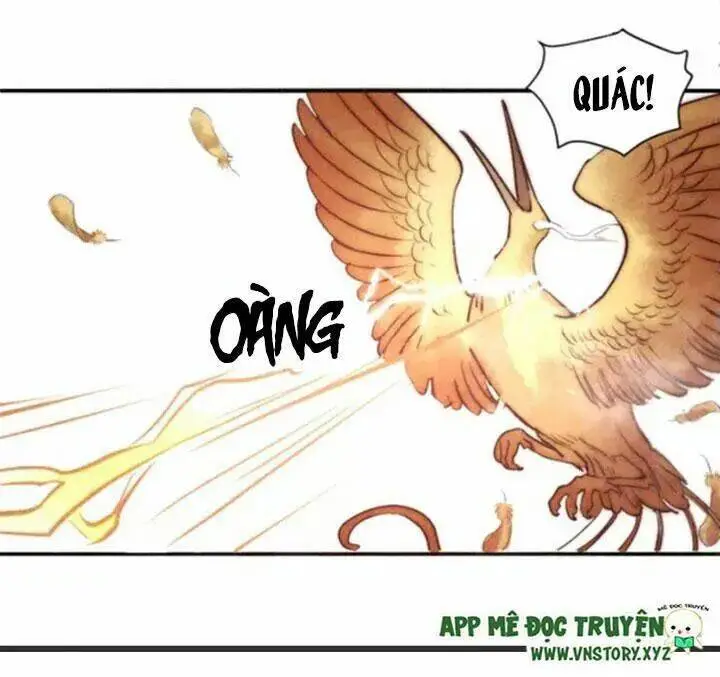 Chapter 4
