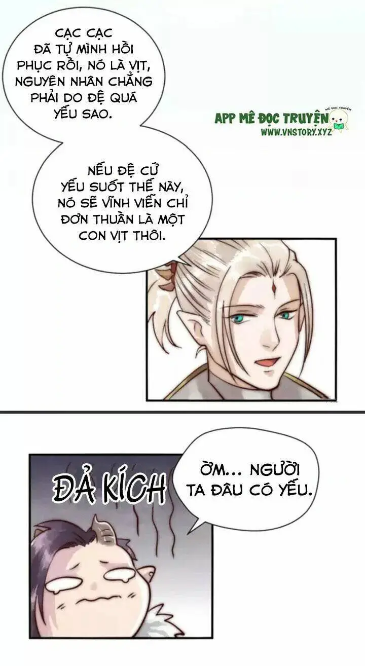 Chapter 4