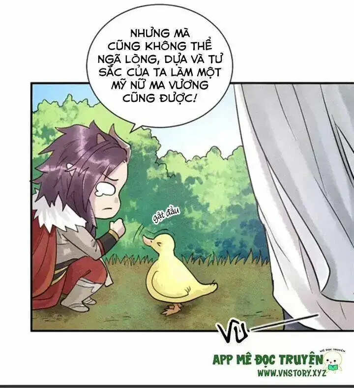 Chapter 3