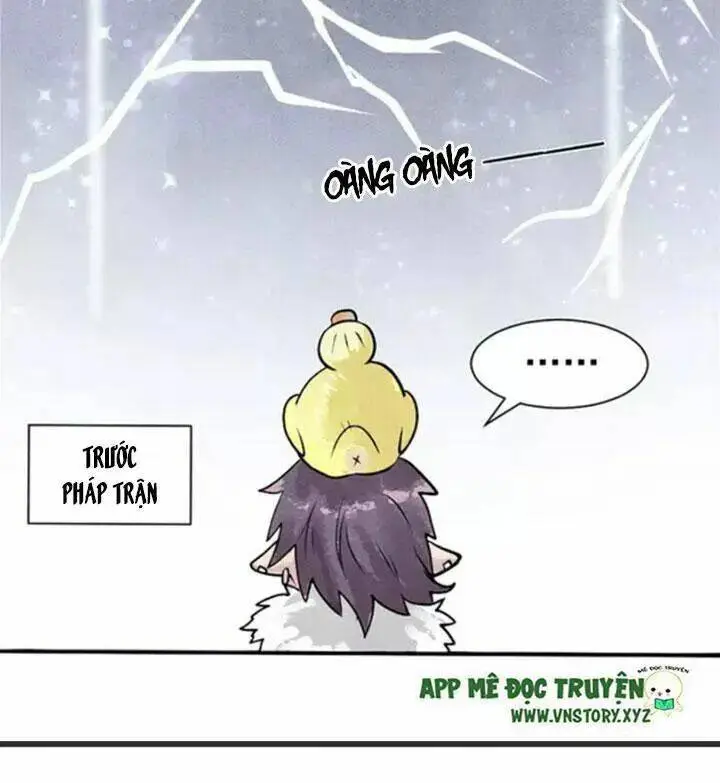 Chapter 3