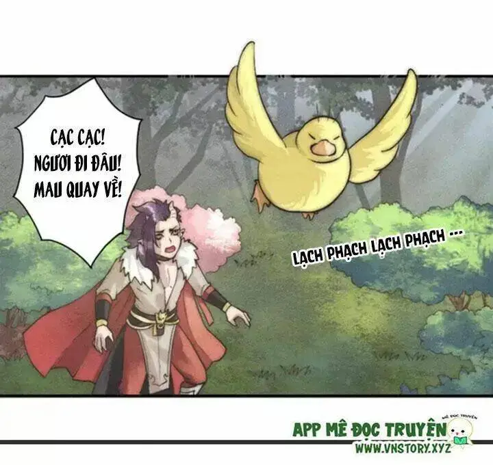 Chapter 3