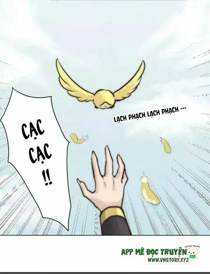 Chapter 3