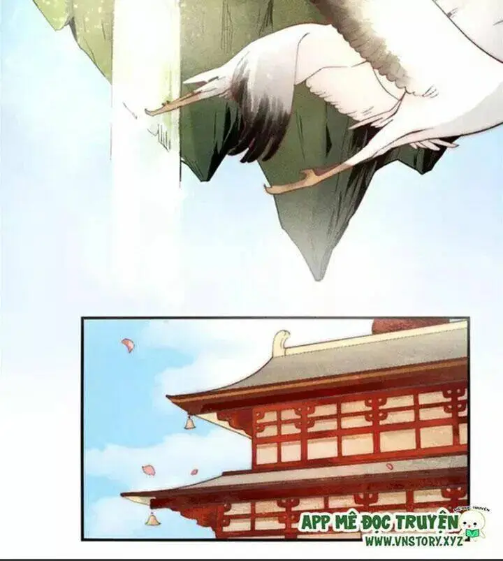 Chapter 3