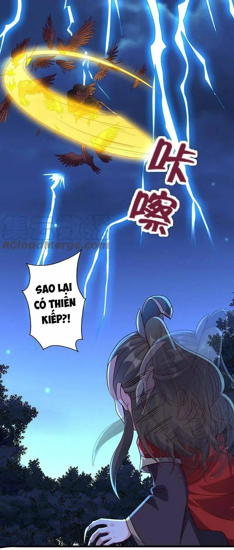 Chapter 304