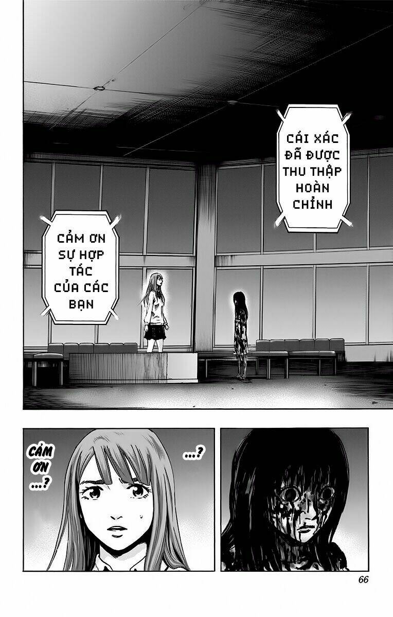 Chapter 55