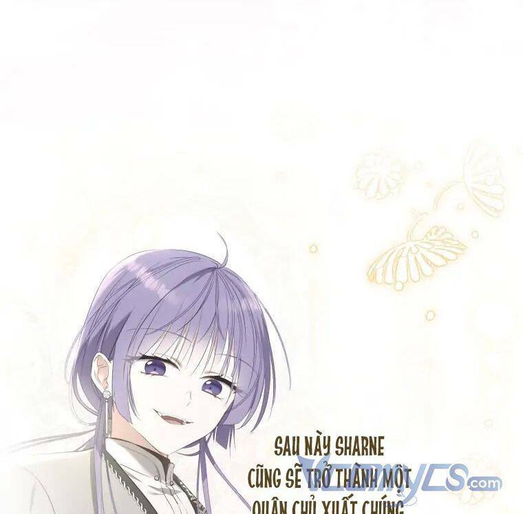 Chapter 41