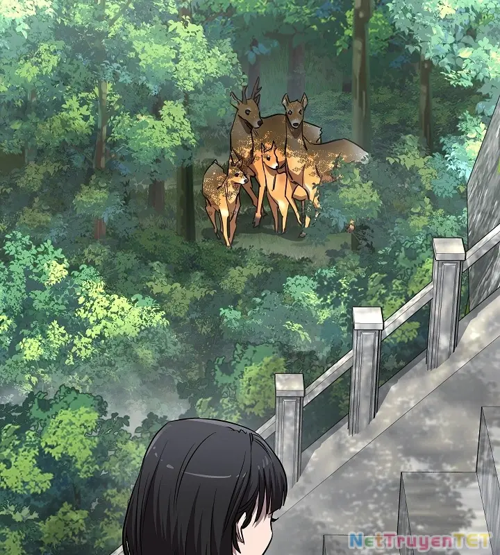 Chapter 46
