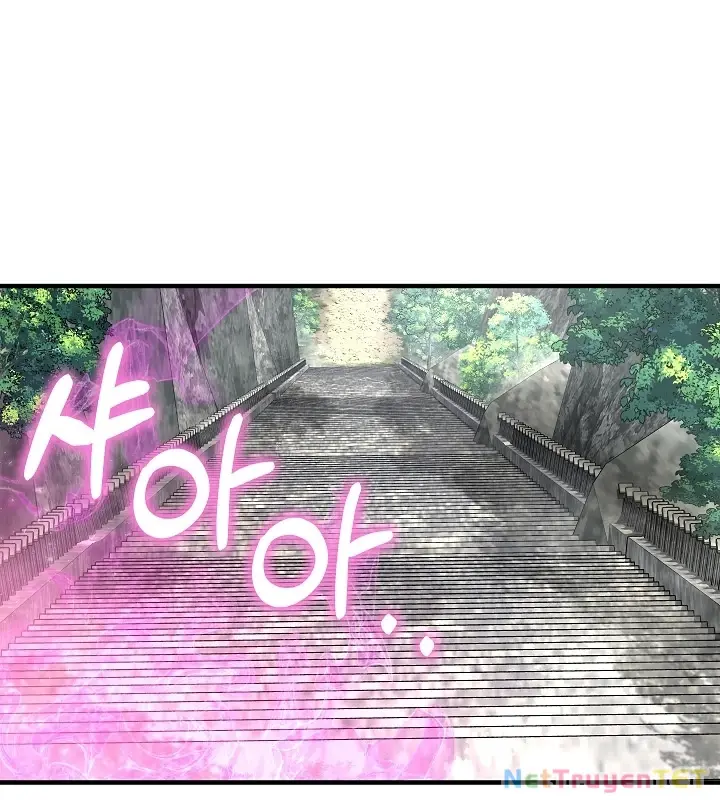 Chapter 46