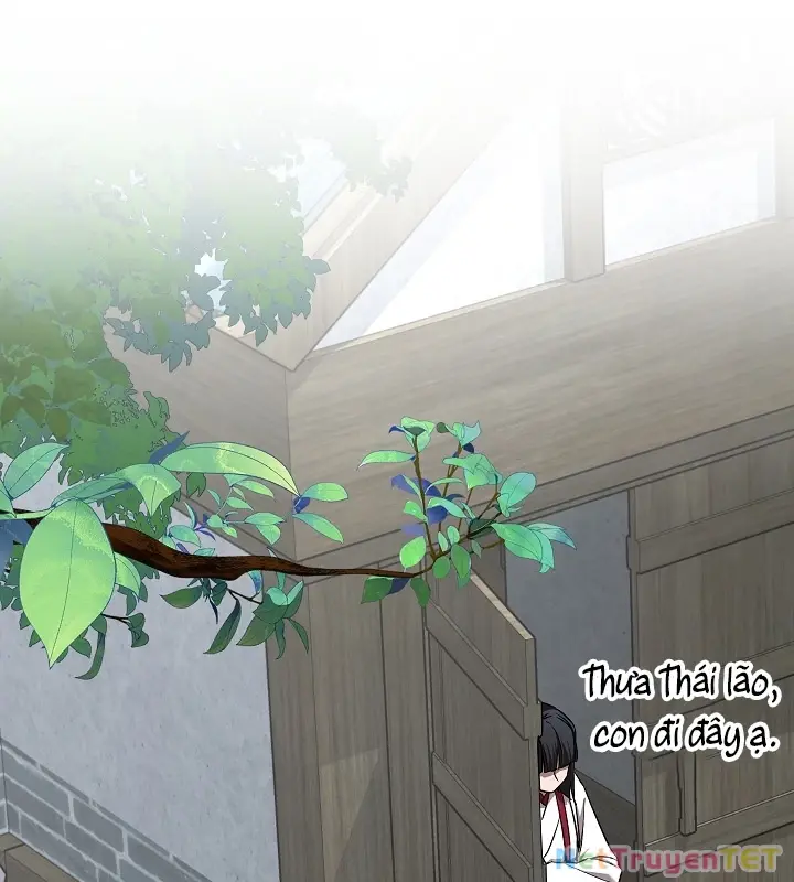 Chapter 46