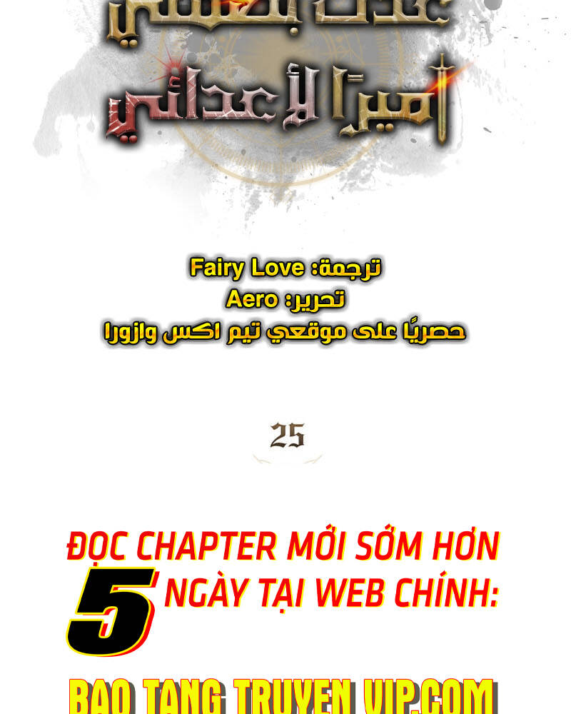 Chapter 25