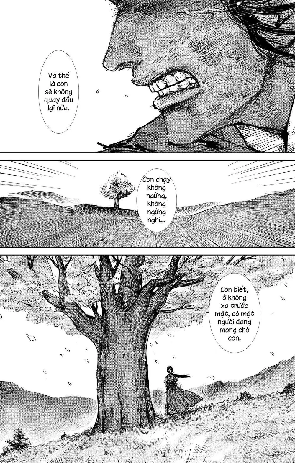 Chapter 33