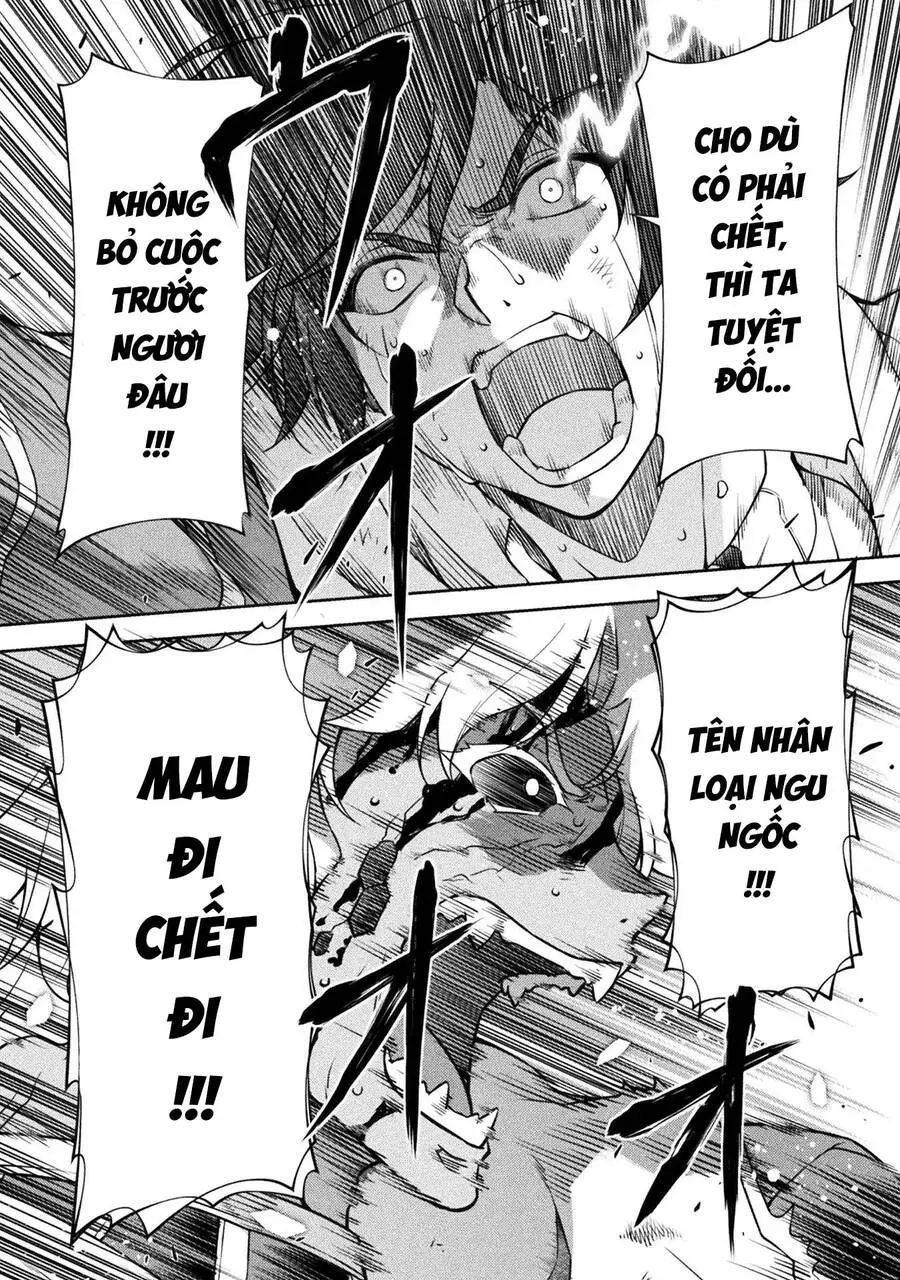 Chapter 95