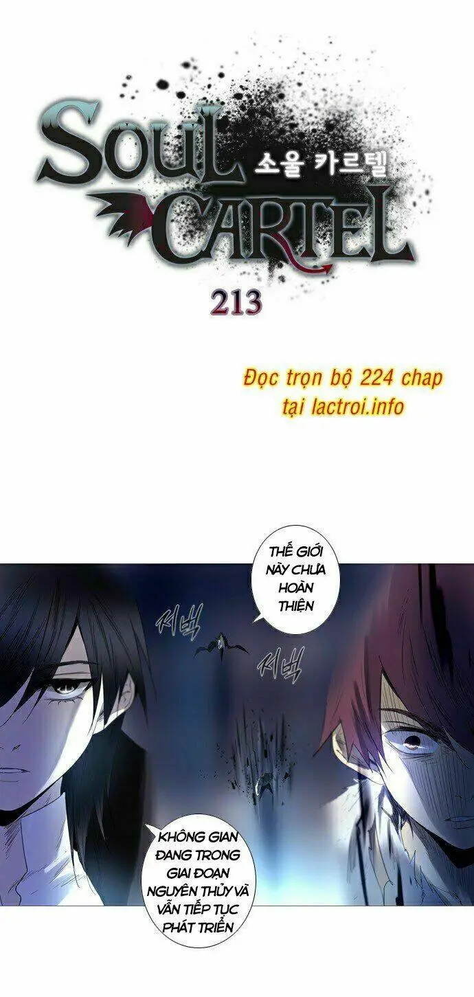 Chapter 213