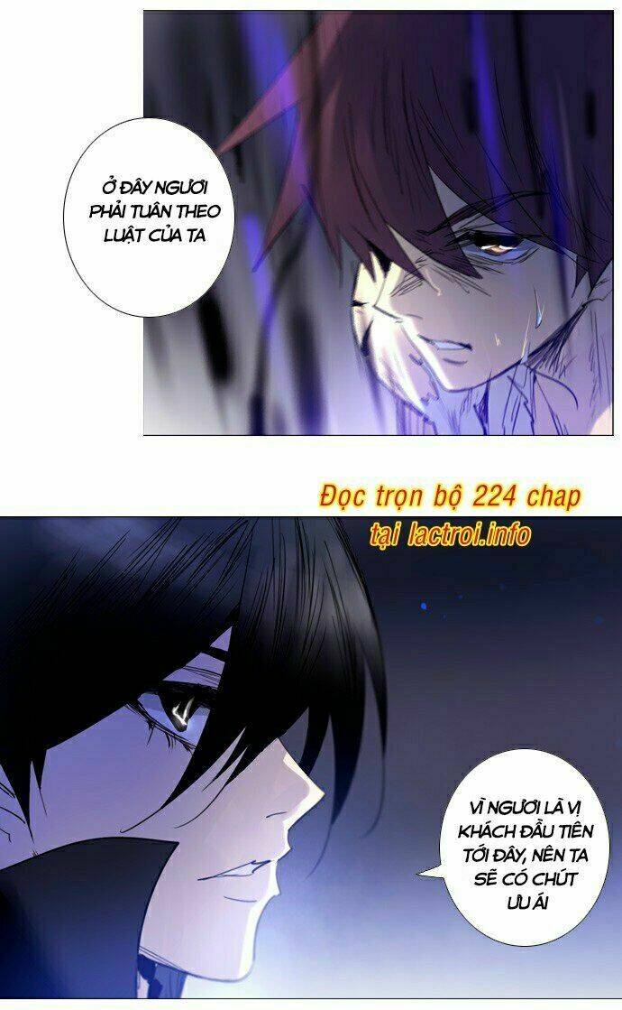 Chapter 213