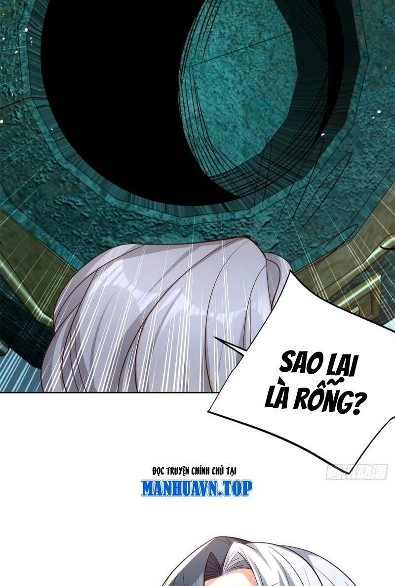 Chapter 113