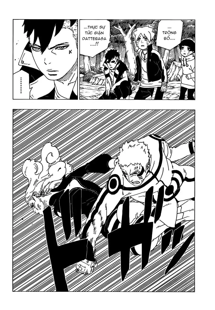 Chapter 33