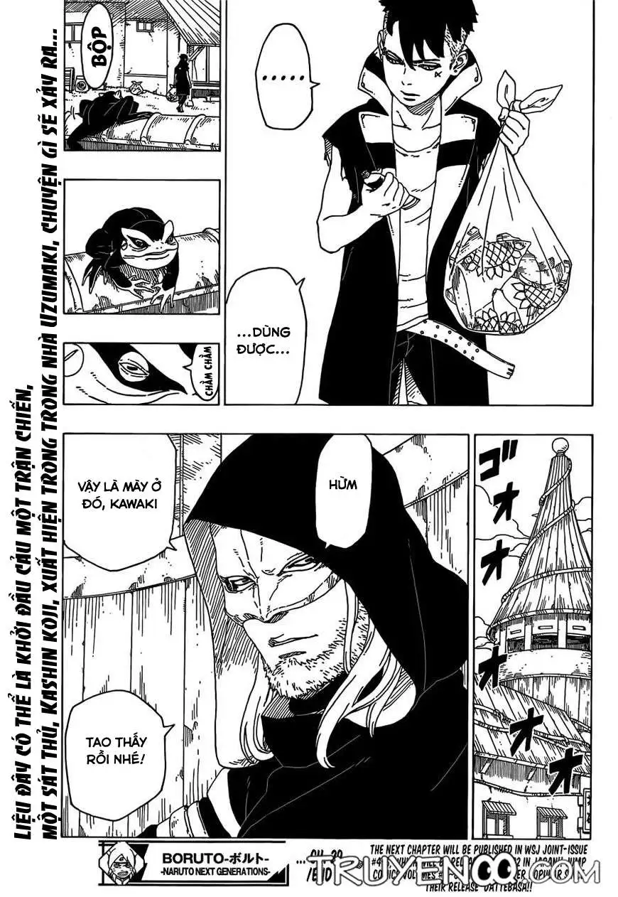 Chapter 29