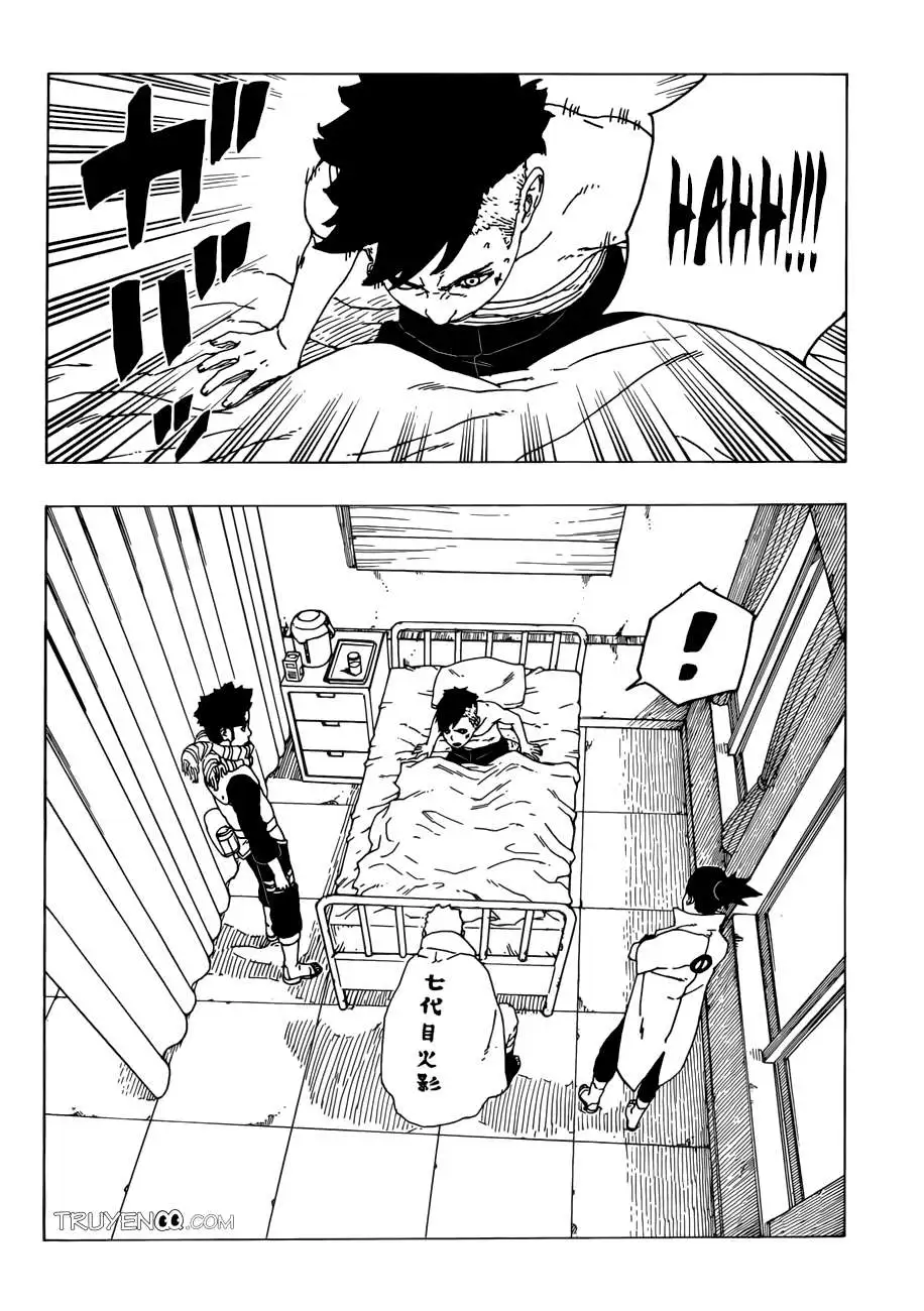 Chapter 26