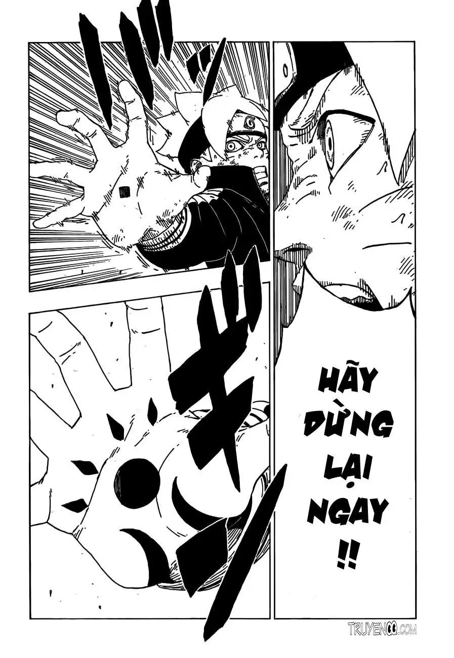 Chapter 23