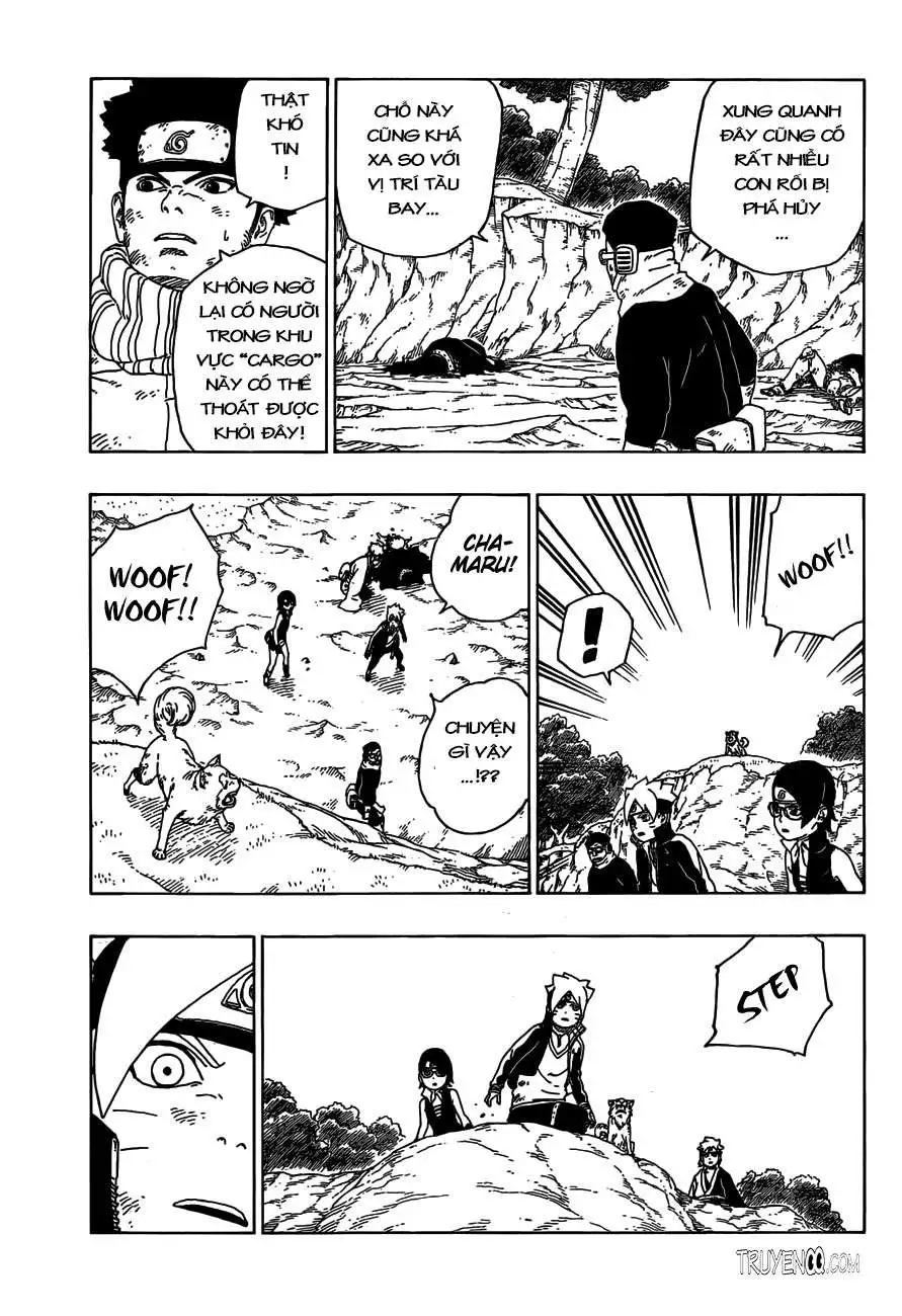 Chapter 23