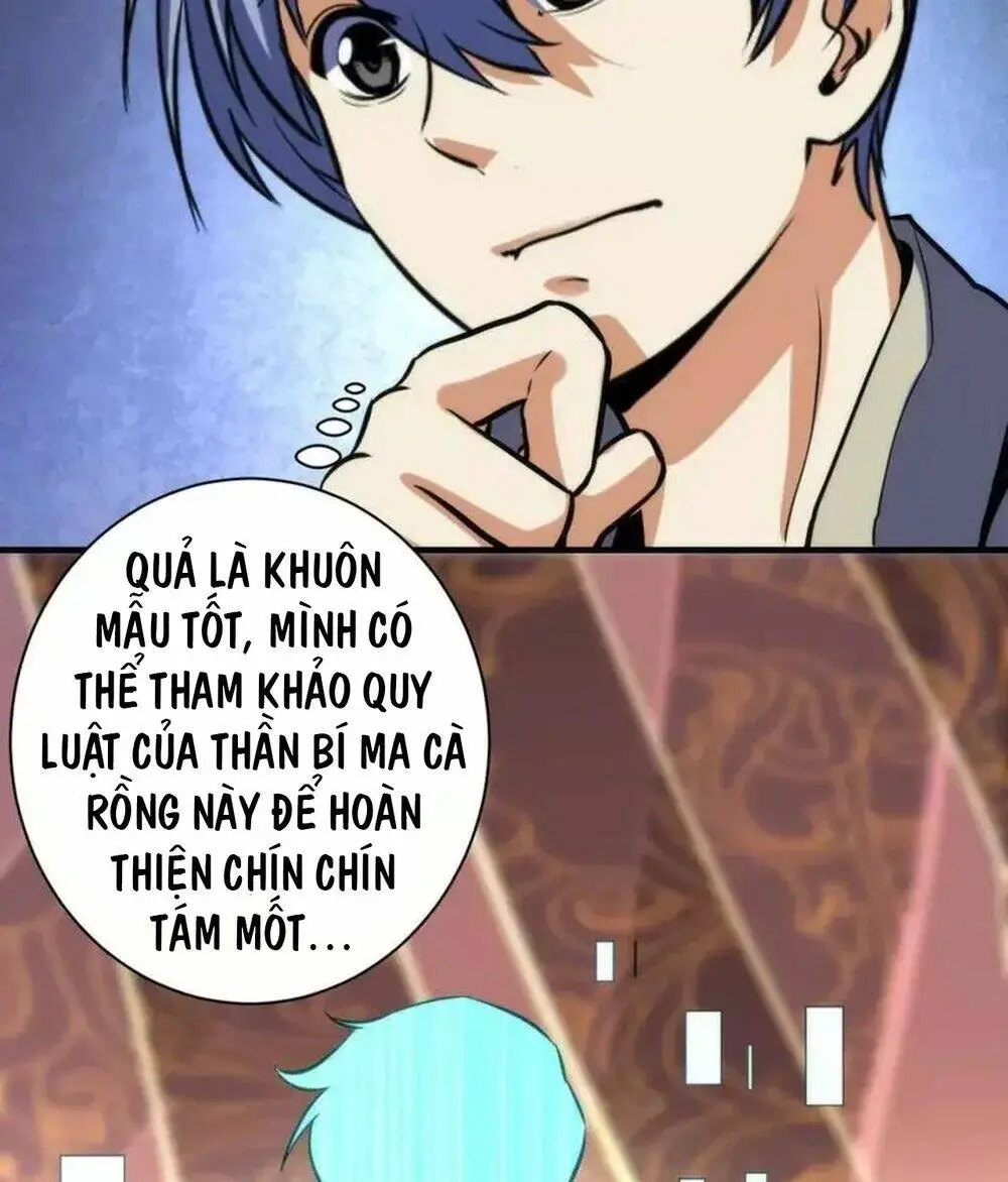 Chapter 213