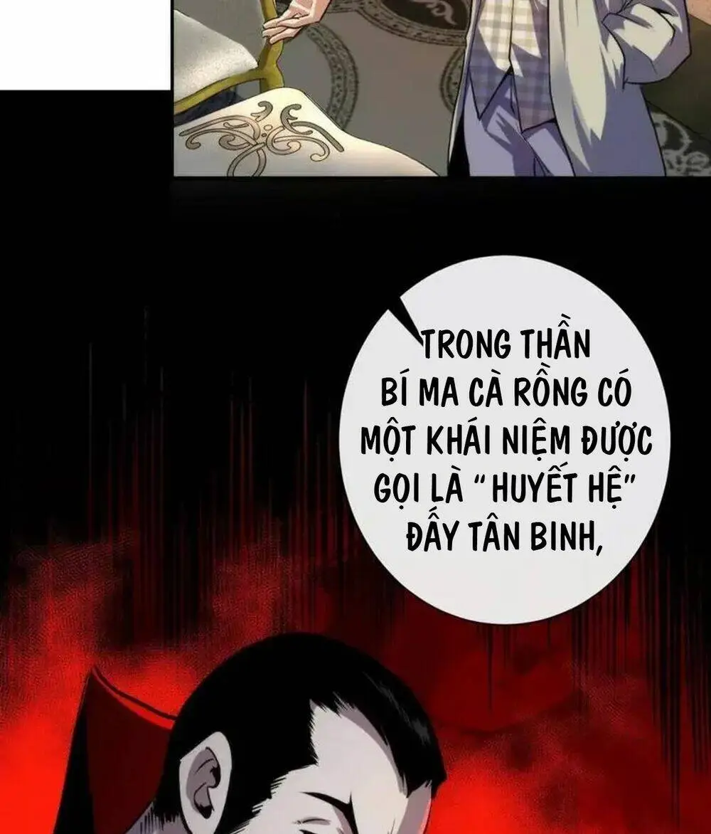 Chapter 213