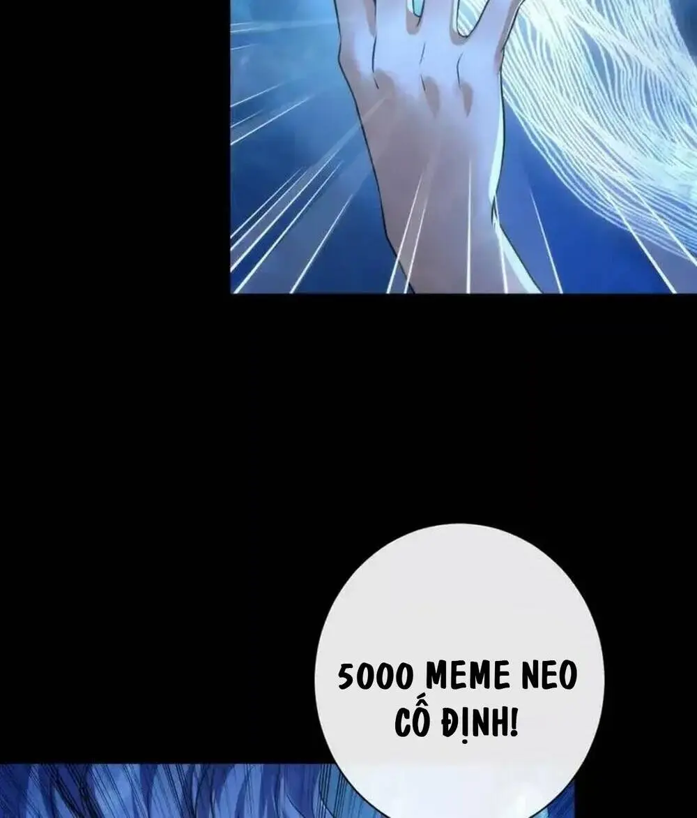 Chapter 205
