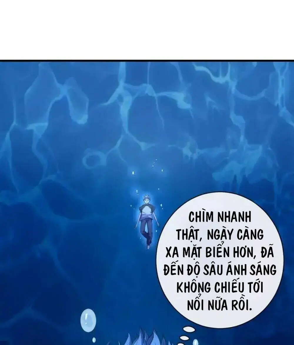 Chapter 205