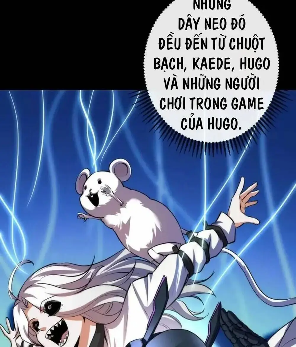 Chapter 205