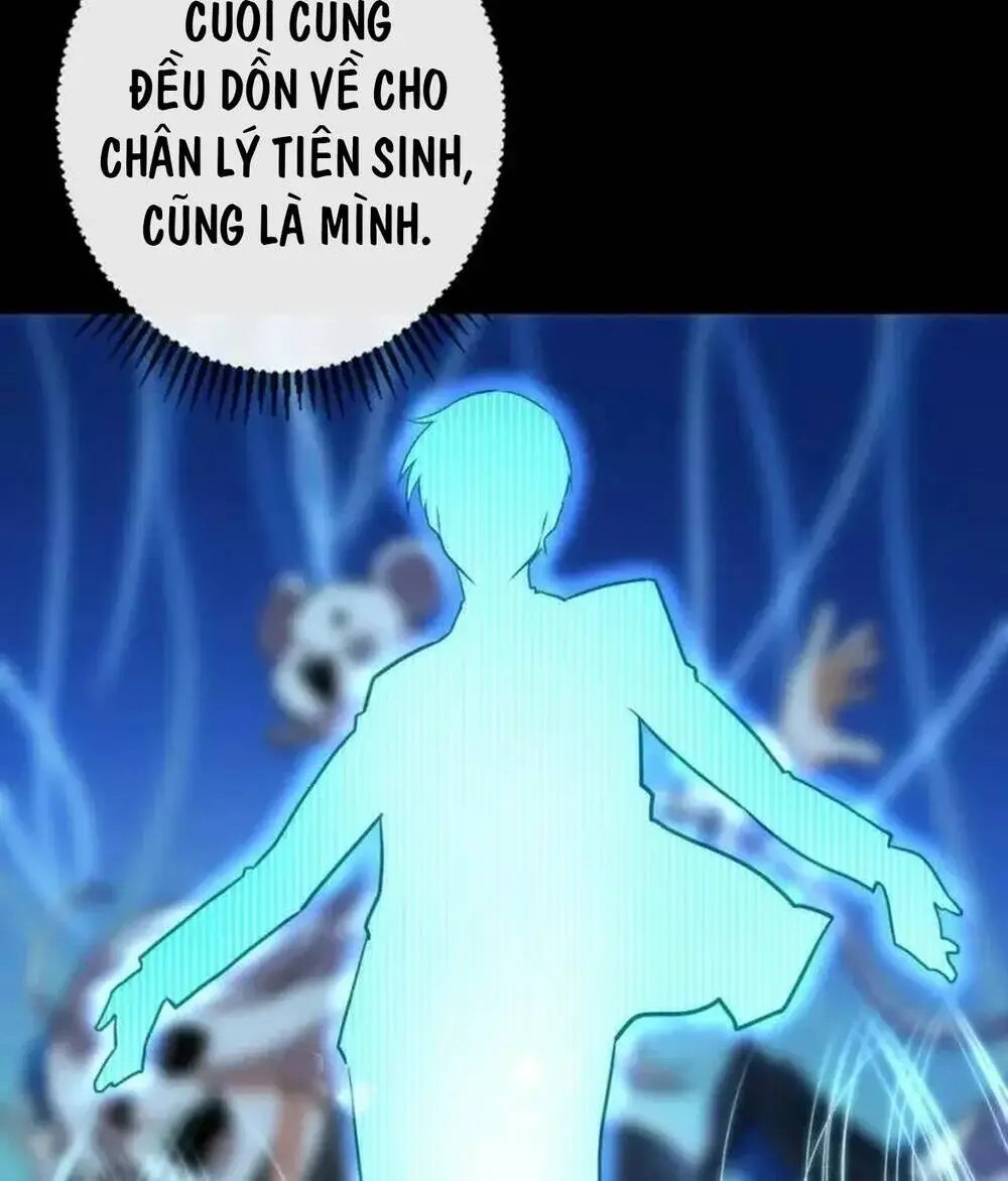 Chapter 205