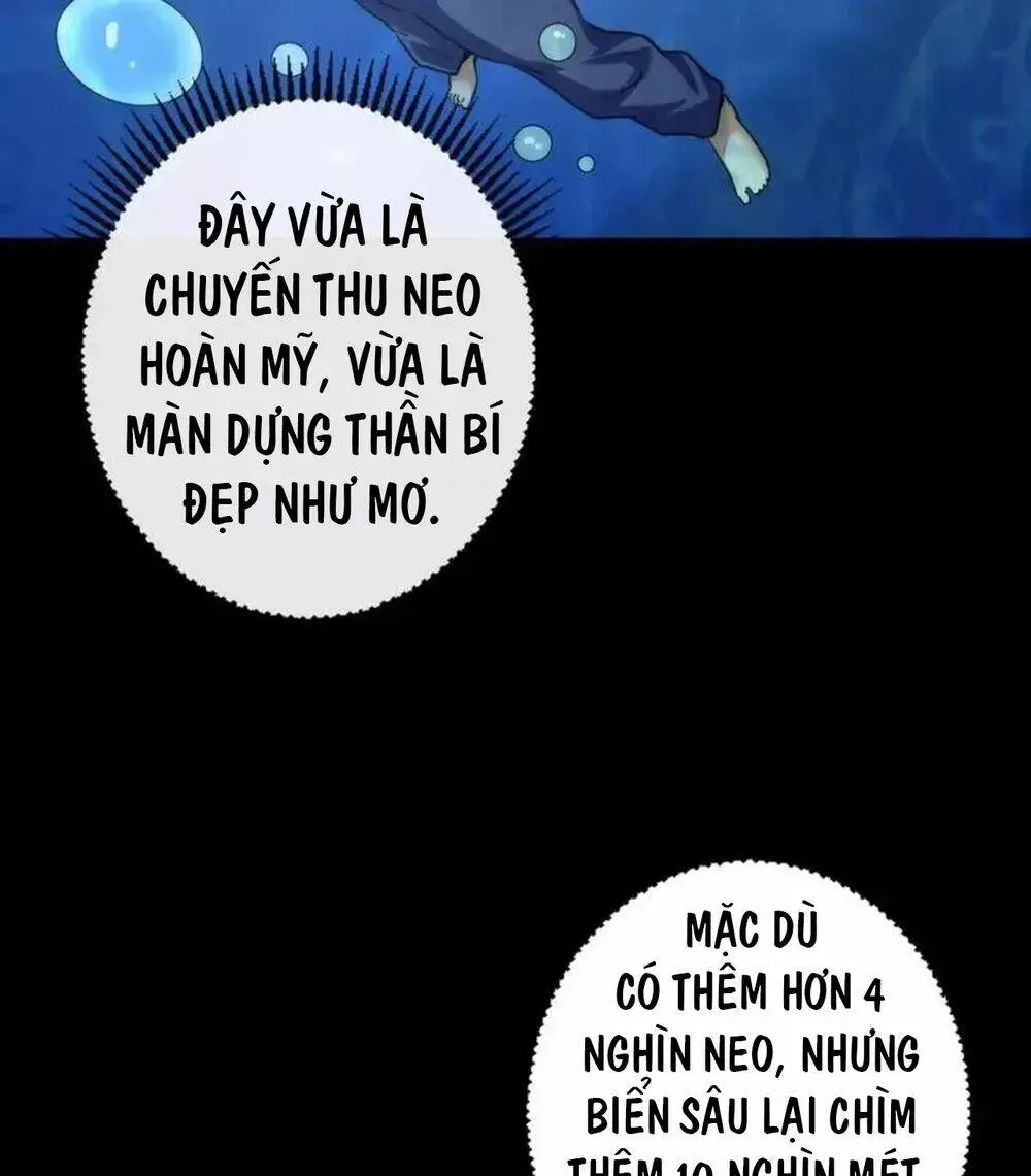 Chapter 205