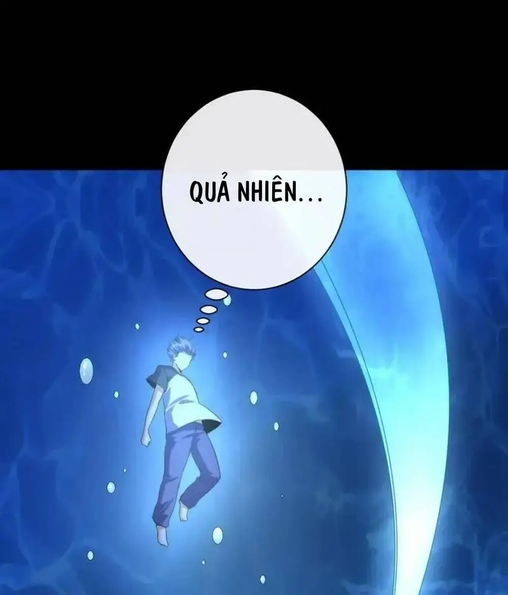 Chapter 205
