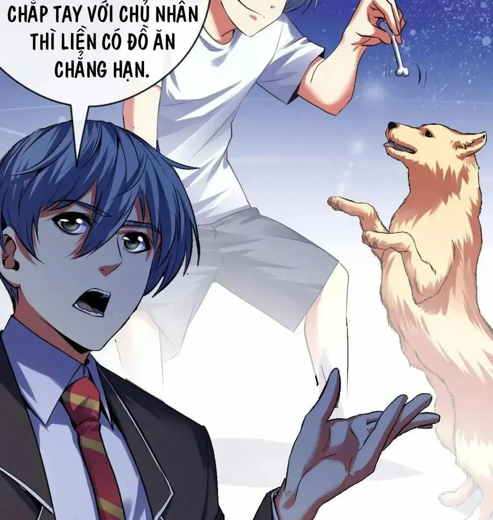 Chapter 145