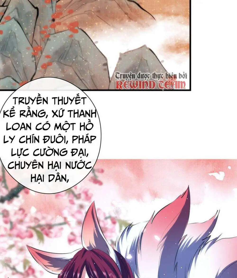 Chapter 113