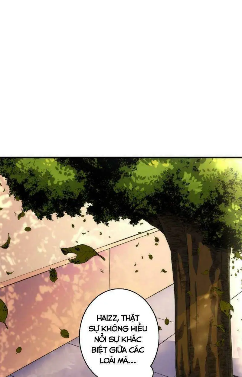 Chapter 24