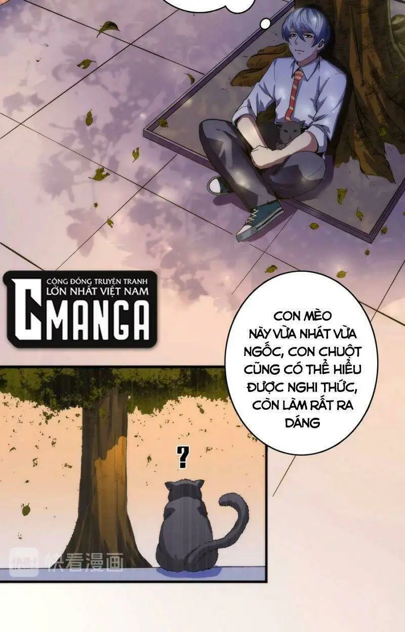 Chapter 24