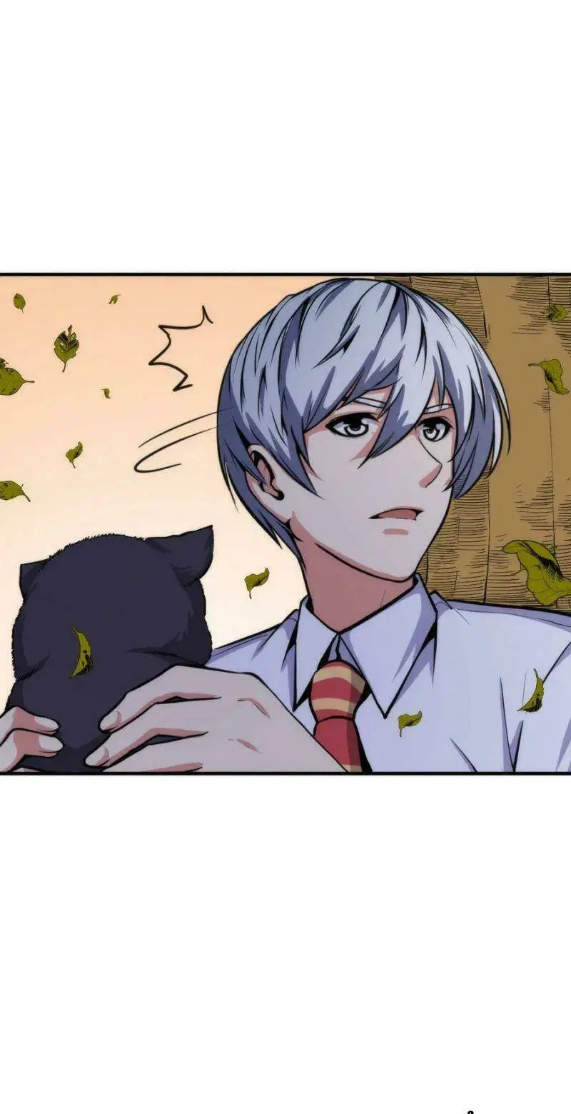 Chapter 24