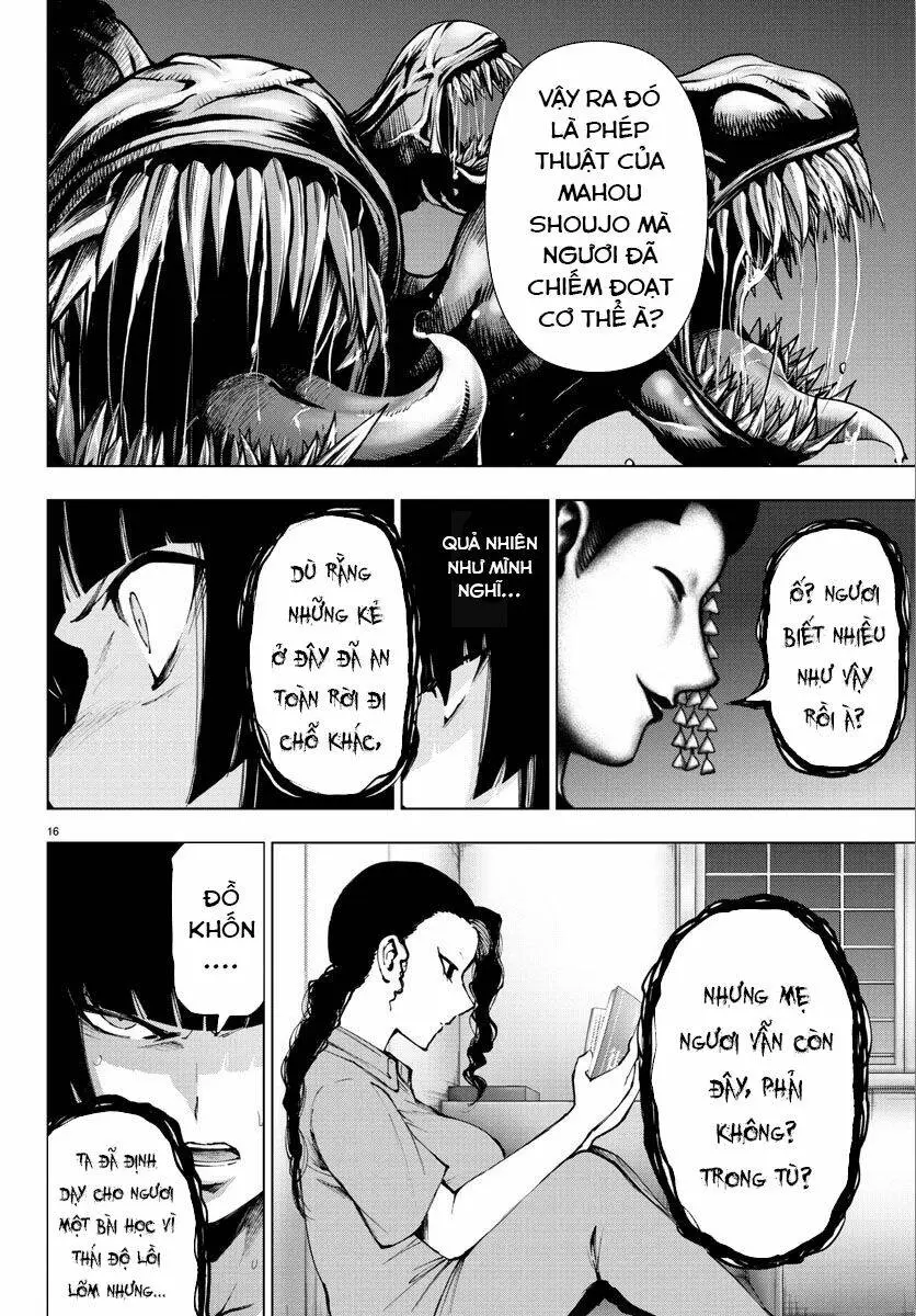 Chapter 95